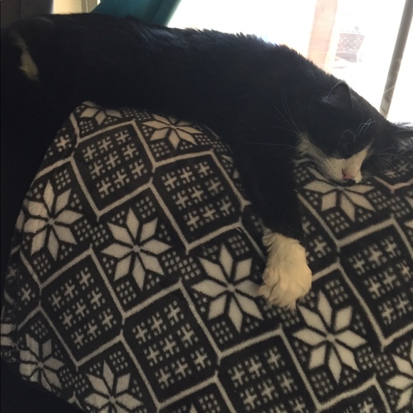 🌹Meet your Top Rated Posher🌹 - Picture 2 of 8